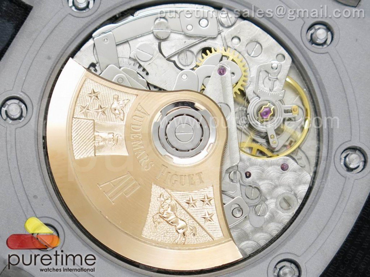 Royal Oak Offshore Safari - Image 21