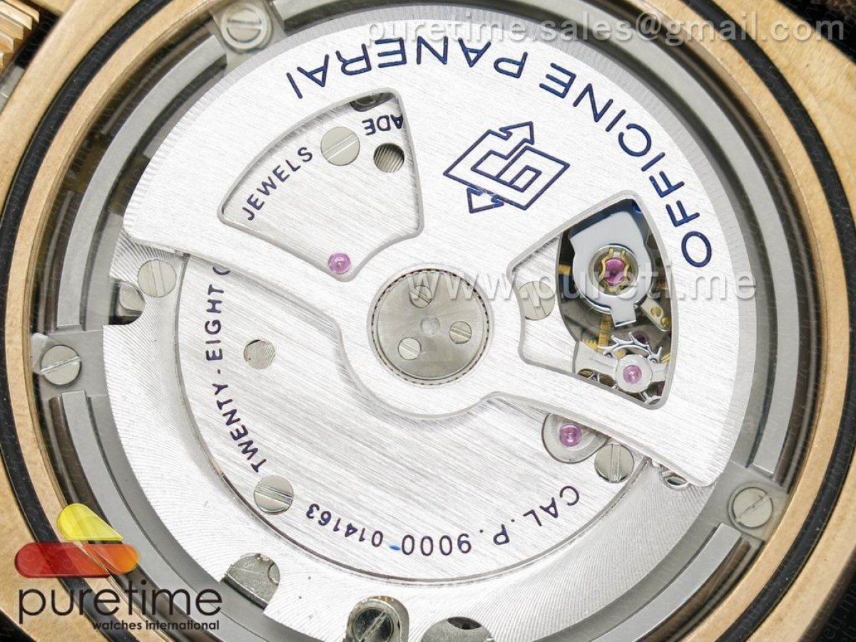 PAM382 - Image 12