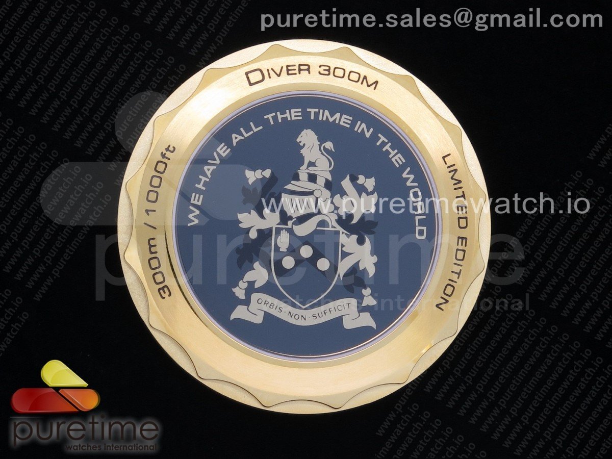 Seamaster Diver 300M YG 007 James Bond VSF - Image 16